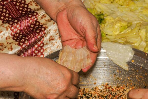 Indian Cuisine Exploring Spices Techniques and Recipes